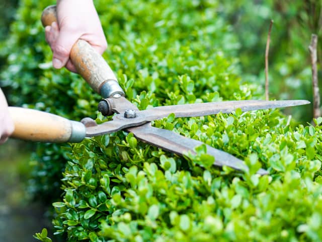 How Much Does Garden Maintenance Cost?