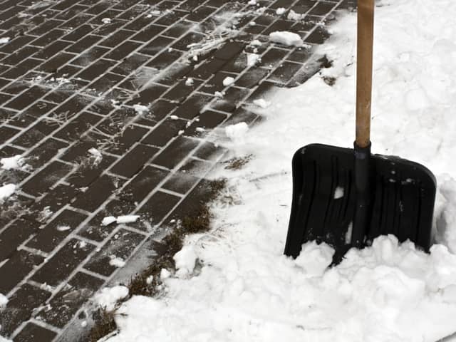 Garden Maintenance in Winter