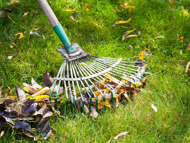 What Does Garden Maintenance Include?