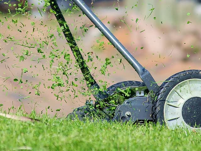 How To Mow Your Lawn Like A Professional