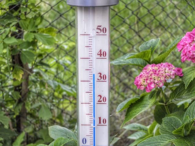 How Do You Prepare Your Garden For A Heatwave?