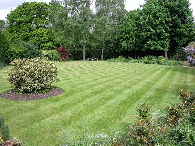 Turfing, Mowing and Lawn Treatments